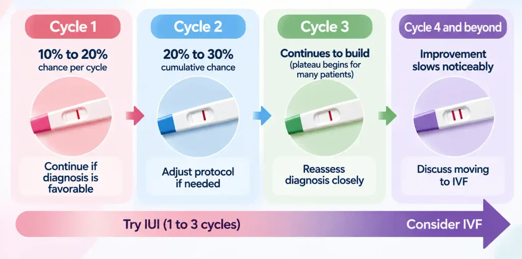 IUI cycle infographic showing when to continue IUI and when to consider IVF.